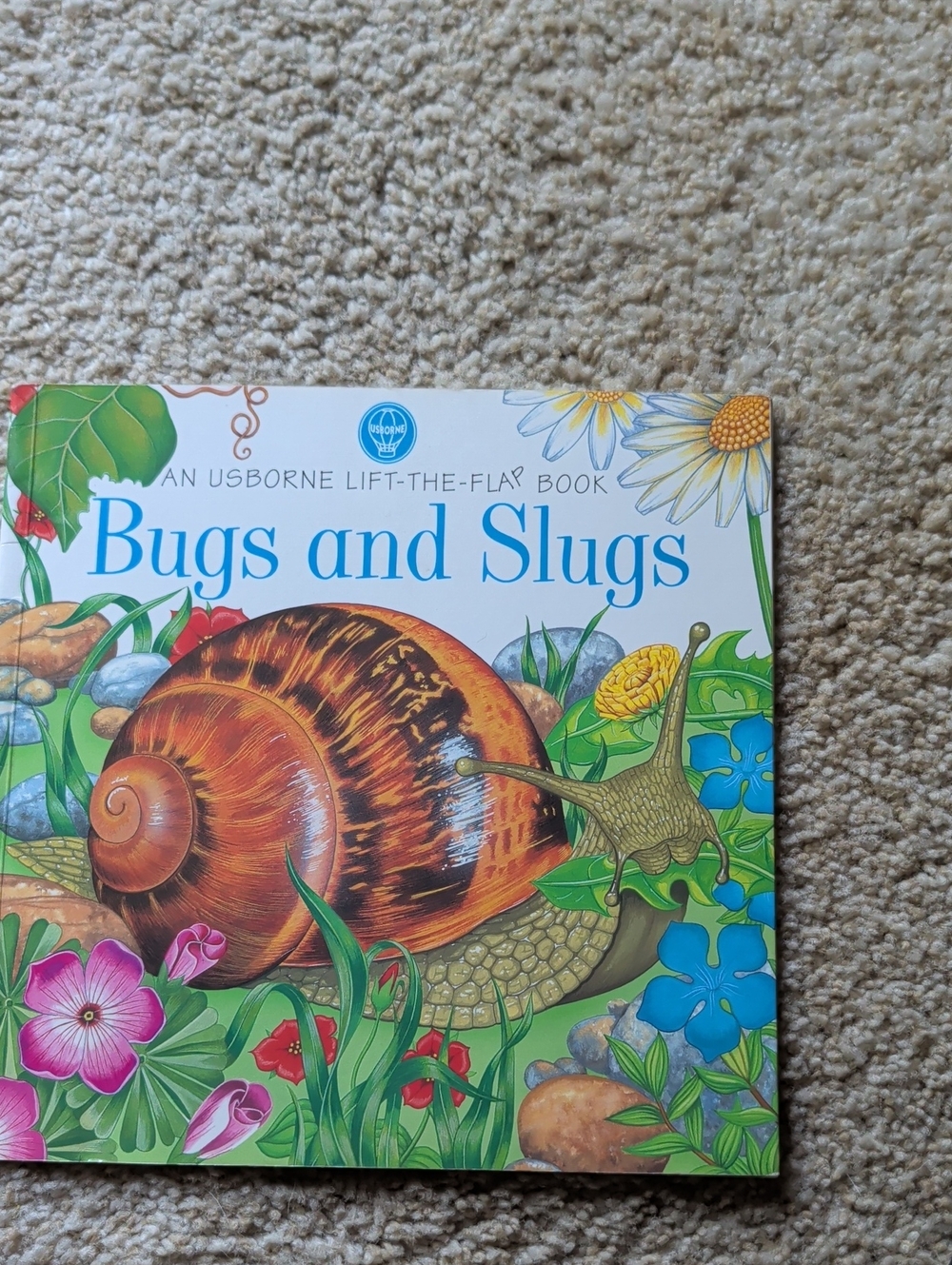Usborne Bugs and Slugs Children's Board Book - Colorful Edition